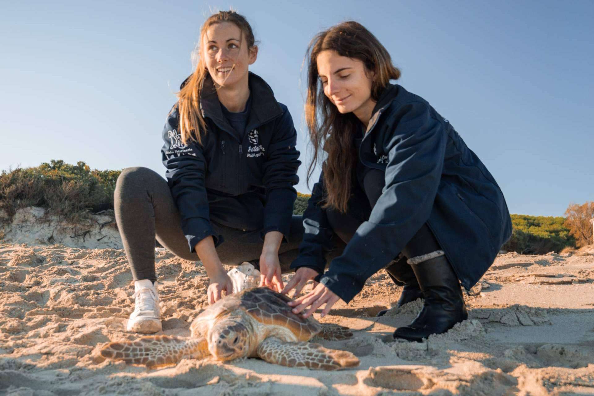 Palma Aquarium lanza ‘Som de la Mar’ con una fiesta benéfica y una programación mensual especial