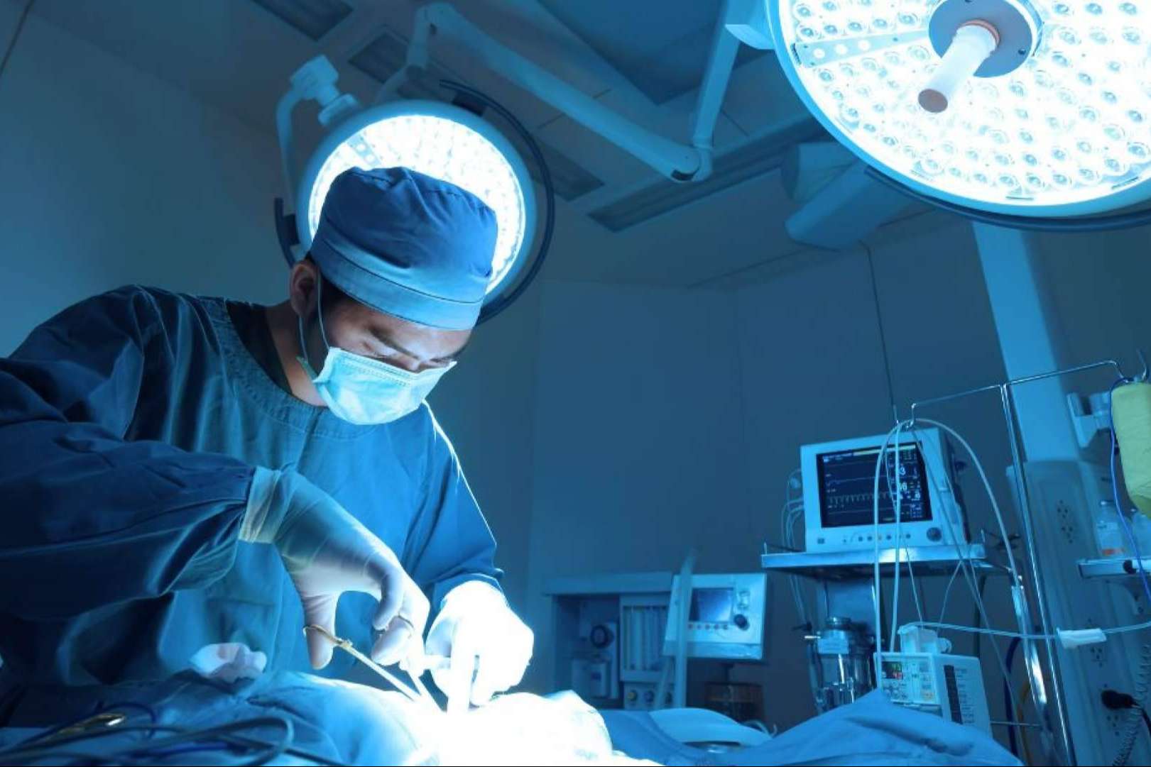 GestorVet; Cumple con la Normativa y Optimiza el Centro Veterinario