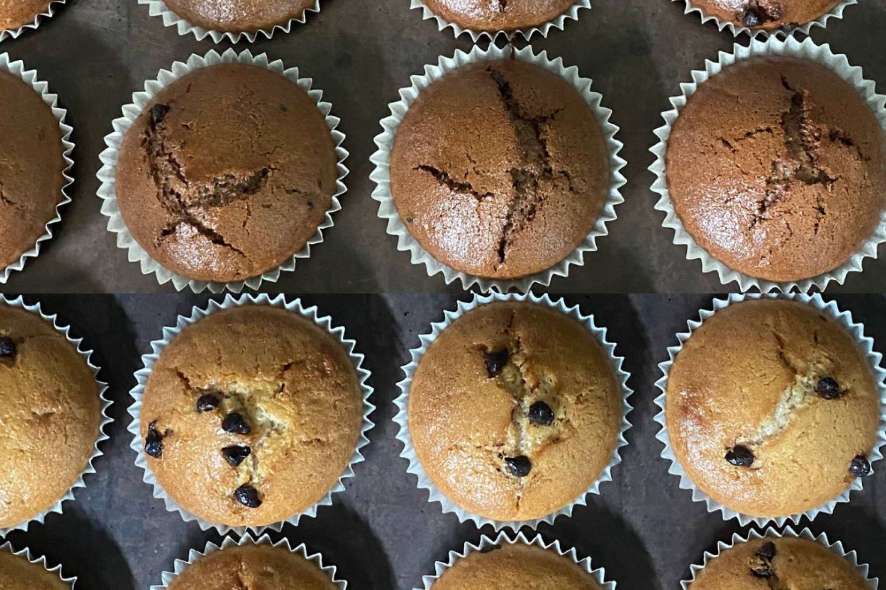 Veganos y no veganos la quieren; Veggie Maai sigue creciendo