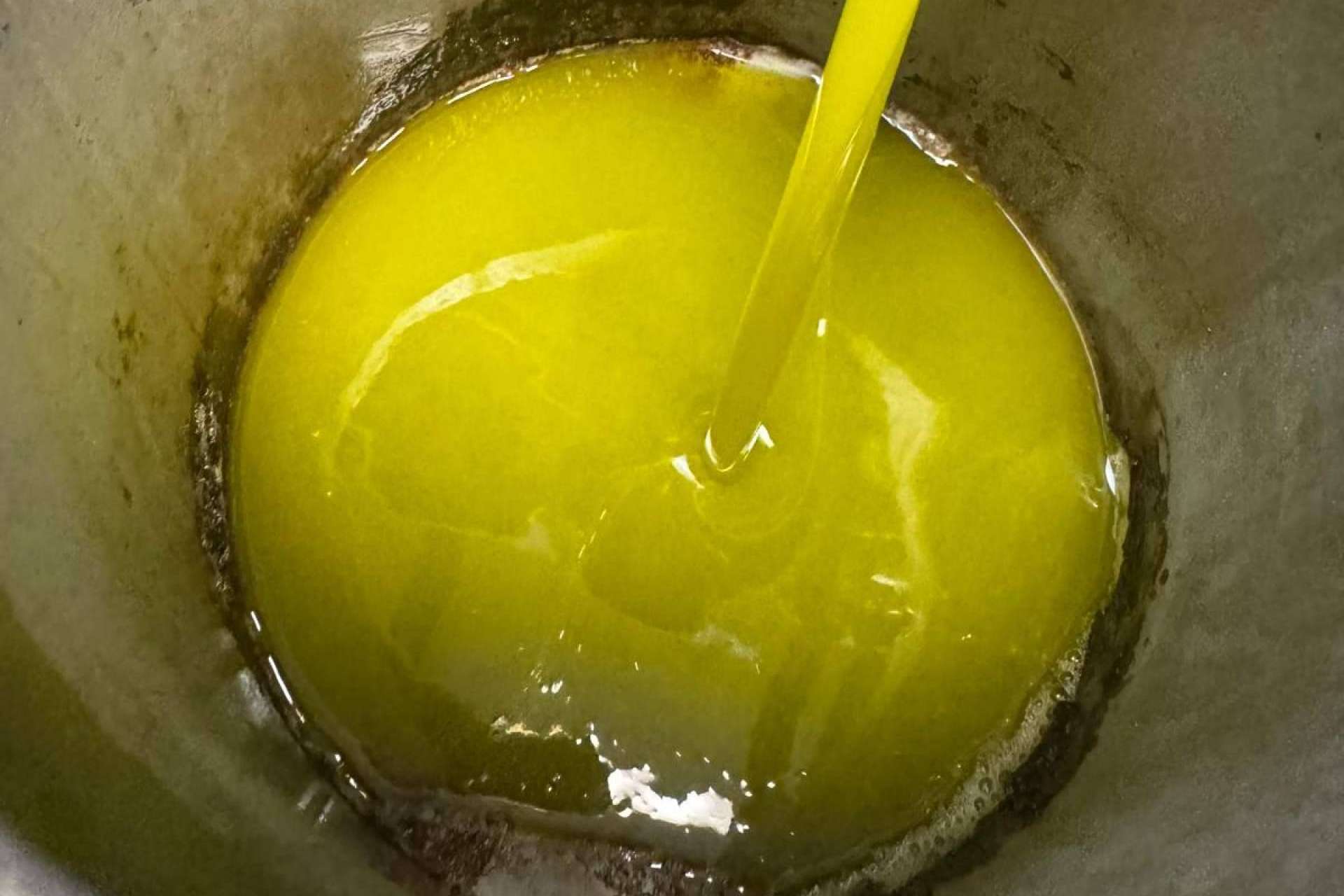 Tradición, excelencia y sabor; así se cultiva el aceite de oliva gourmet de Tercio de las Torres