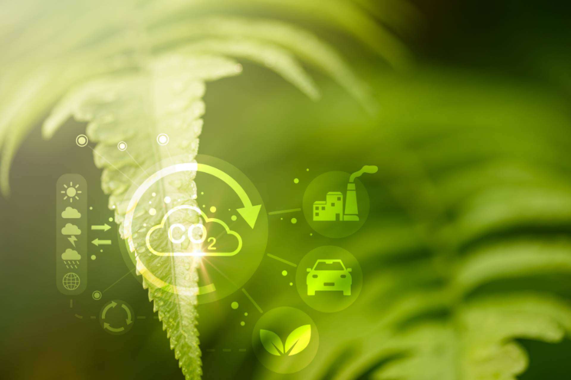 Ingade analiza el nuevo Real Decreto sobre huella de carbono y su impacto en las empresas