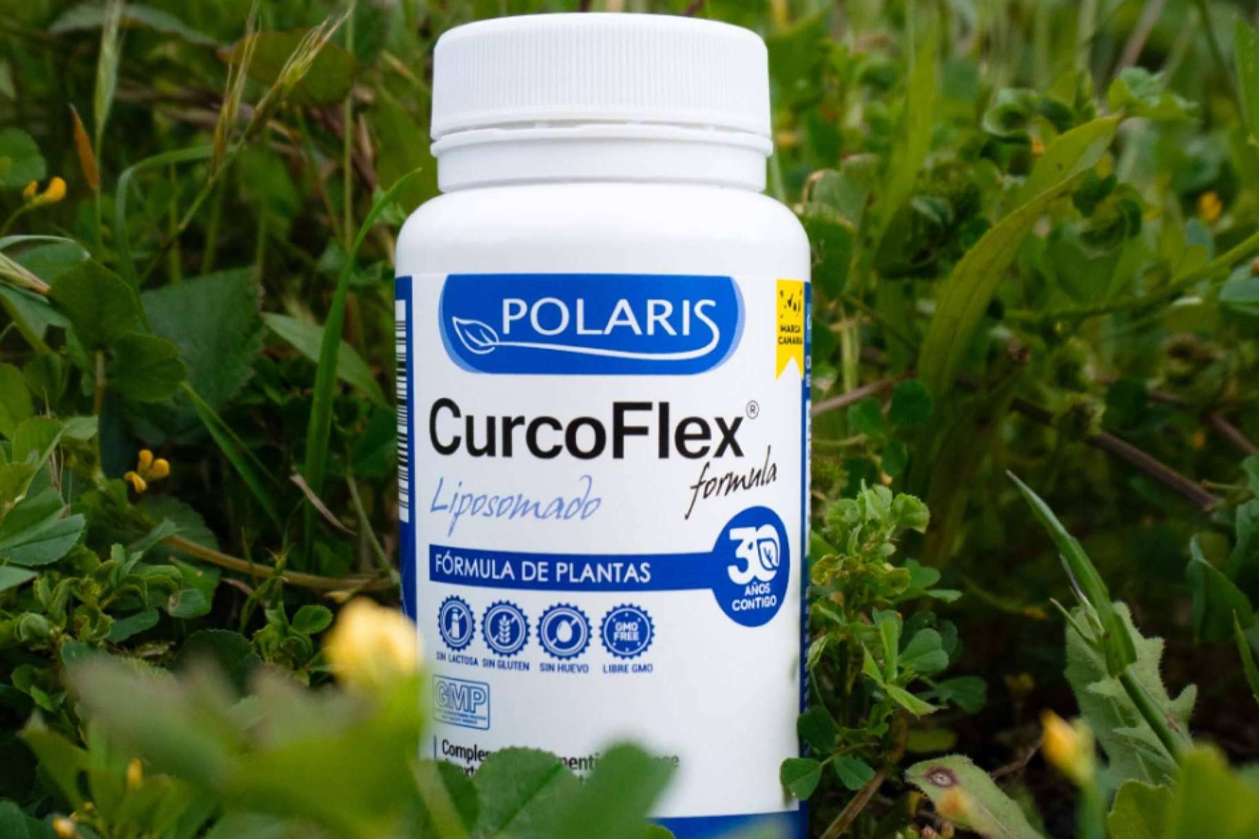 El producto reformulado de Polaris Formula mejora la salud articular hasta 20 veces