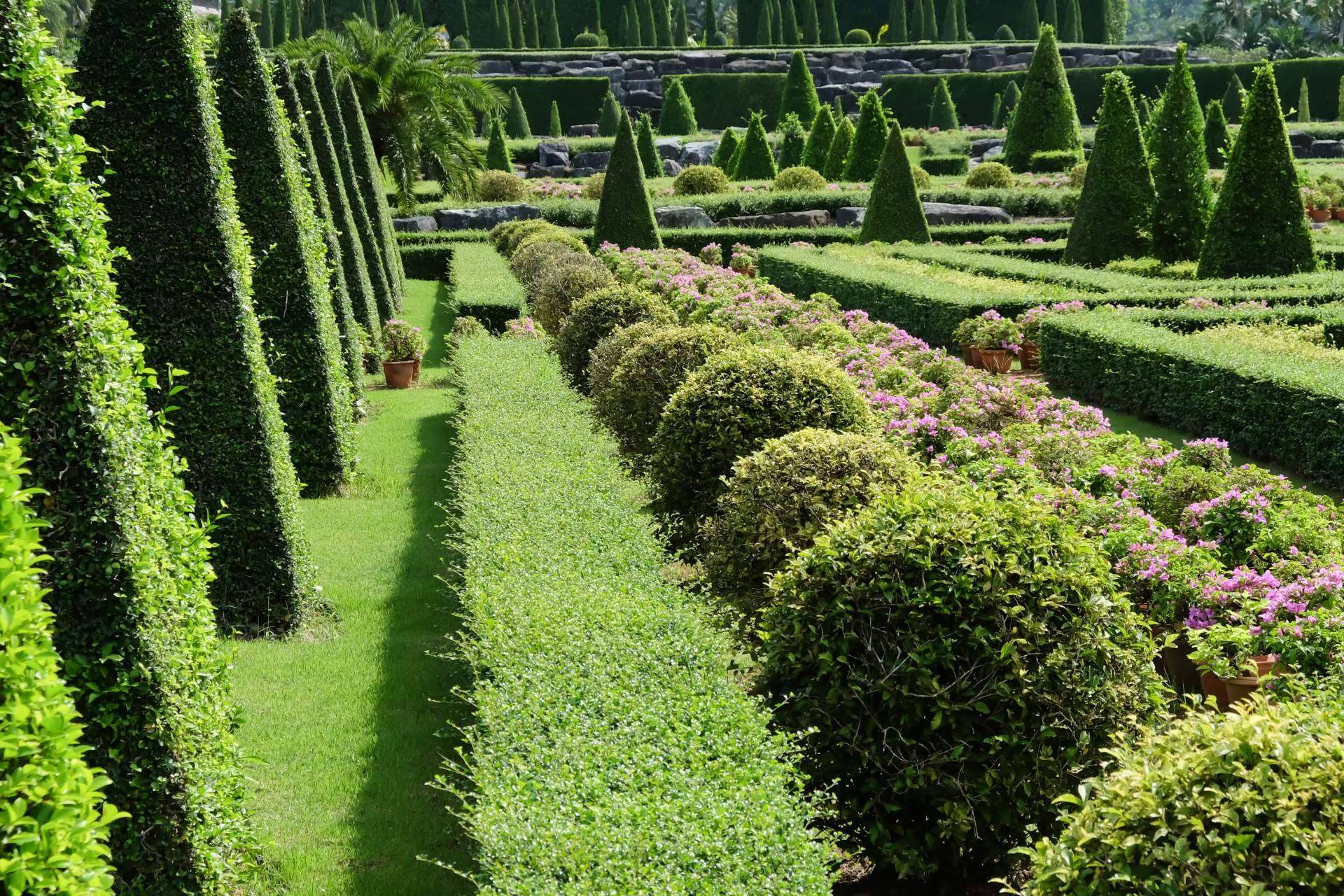 Transformando Barcelona con espacios verdes; jardinería profesional para hogares y ciudades sostenibles