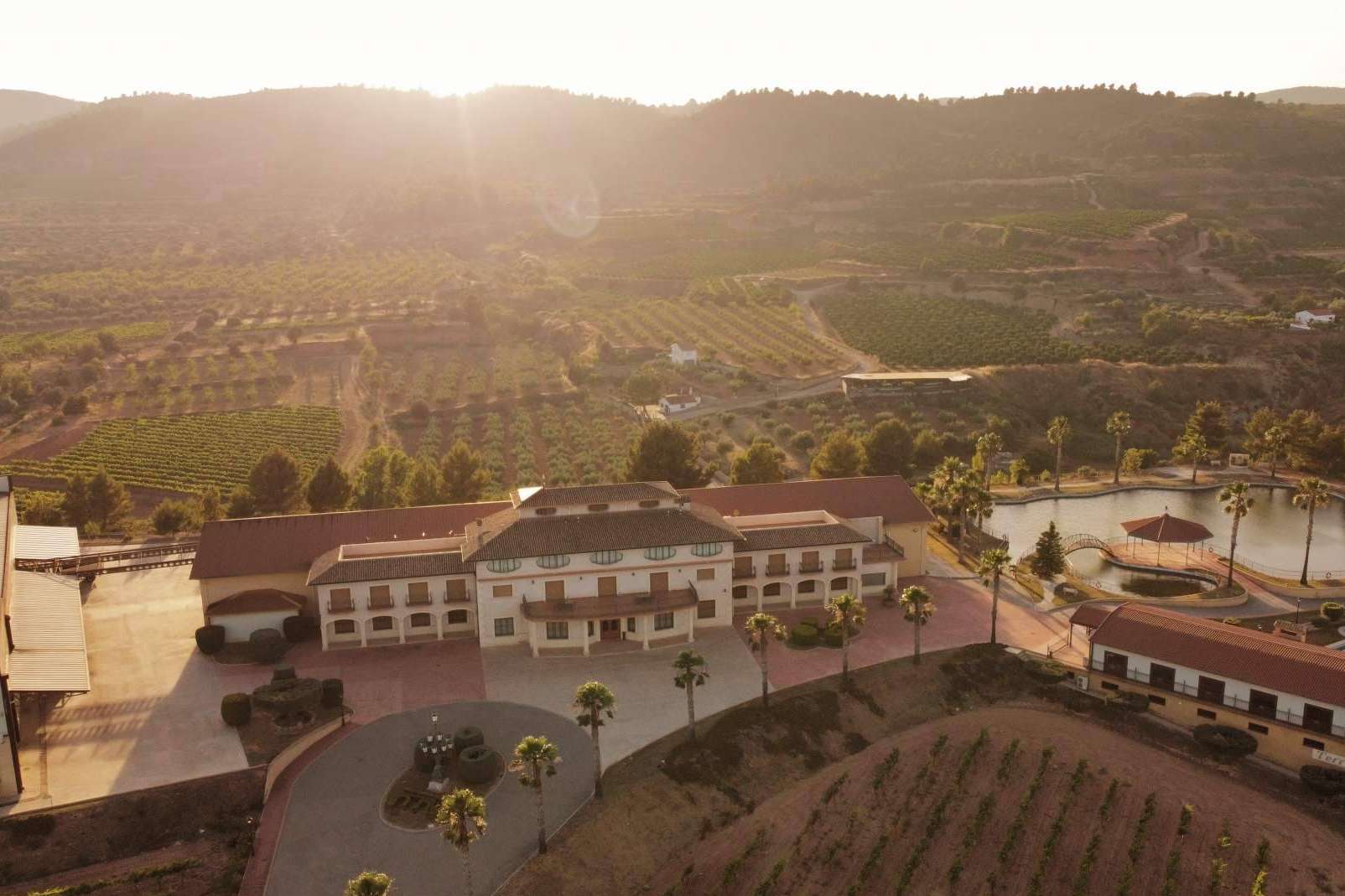 Vegamar fusiona tradición y modernidad en vinos gourmet del Alto Turia