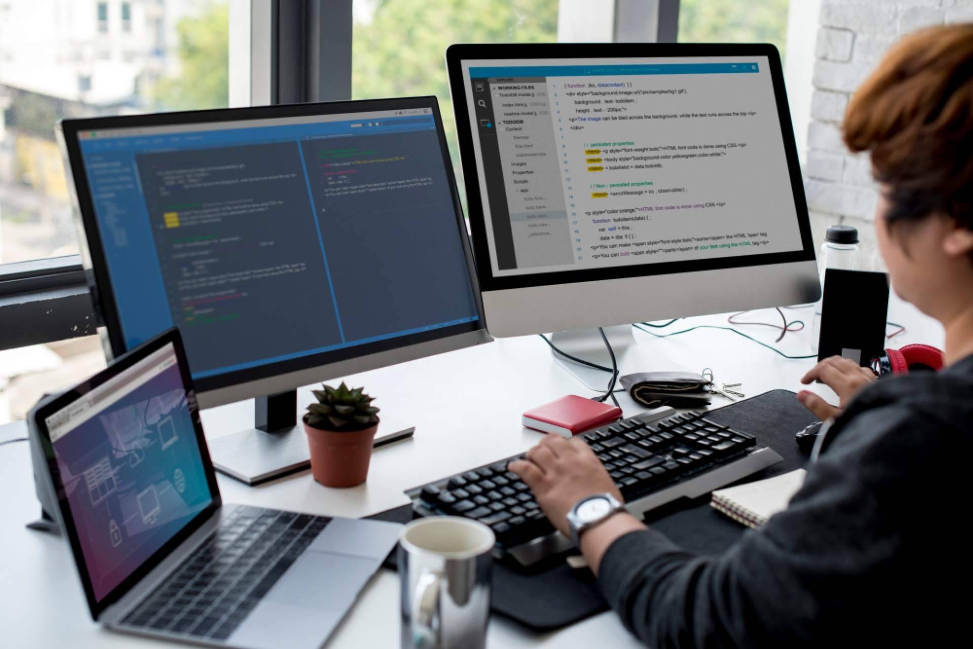 Cómo elegir entre software a medida y aplicaciones estándar según las necesidades del negocio