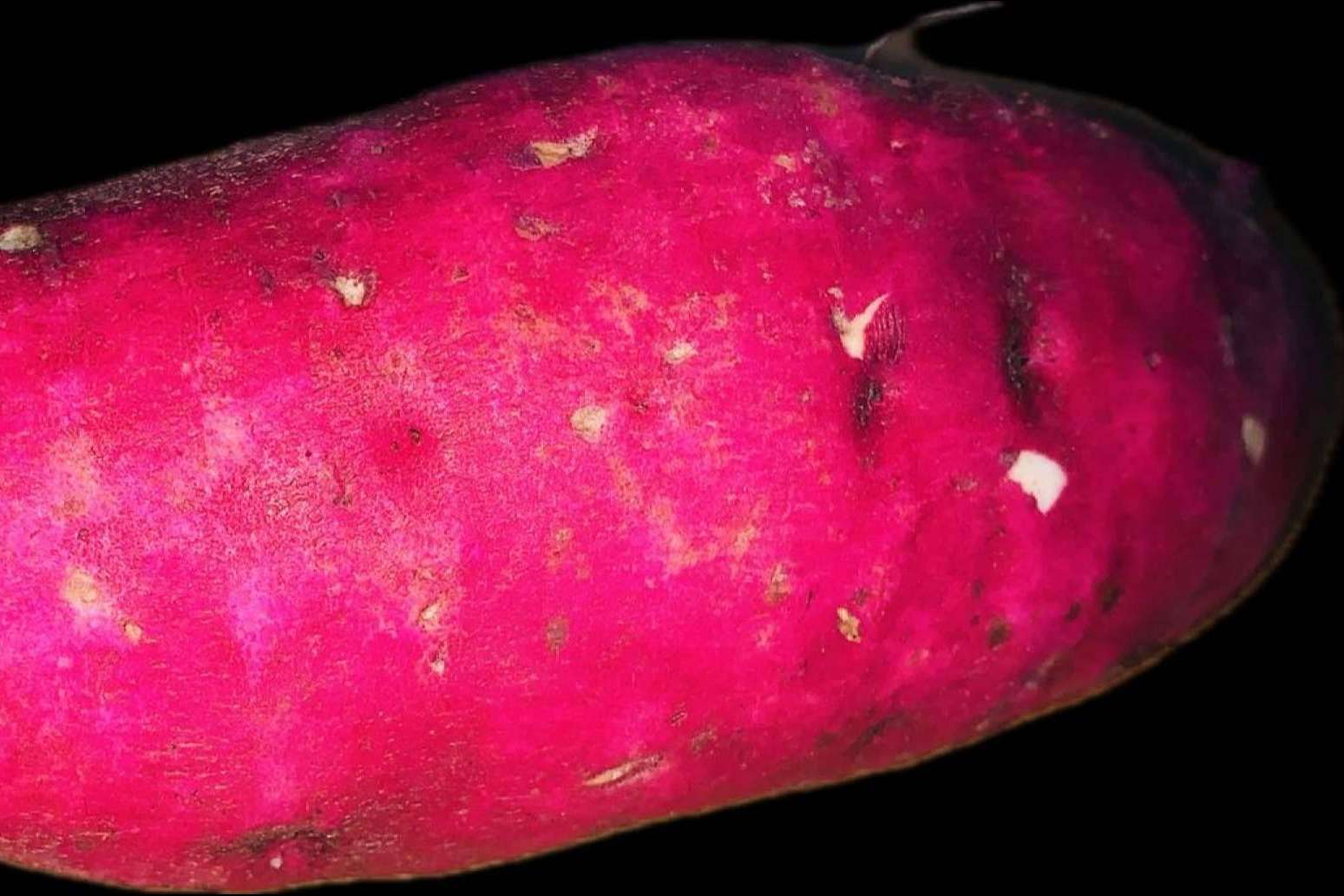 El corazón del mercado guatemalteco, ahora al alcance de un clic con Mercado La Terminal Online