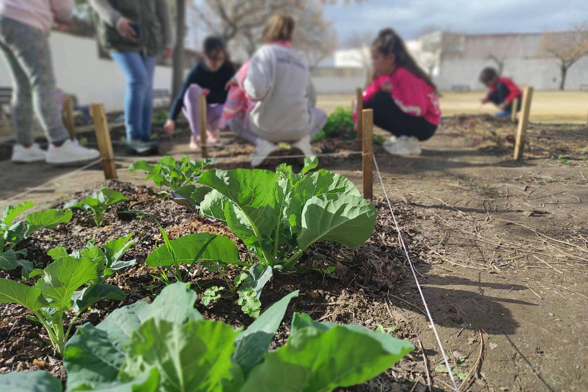 El compromiso social de Rioma florece en proyectos de huertos intergeneracionales