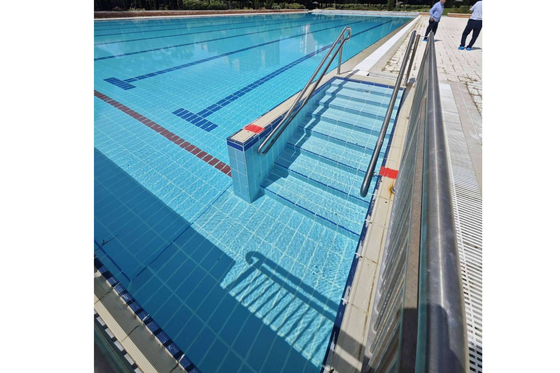 Sin cloraminas ni aditivos; POOL TIGER EUROPE y su modelo de purificación natural para piscinas