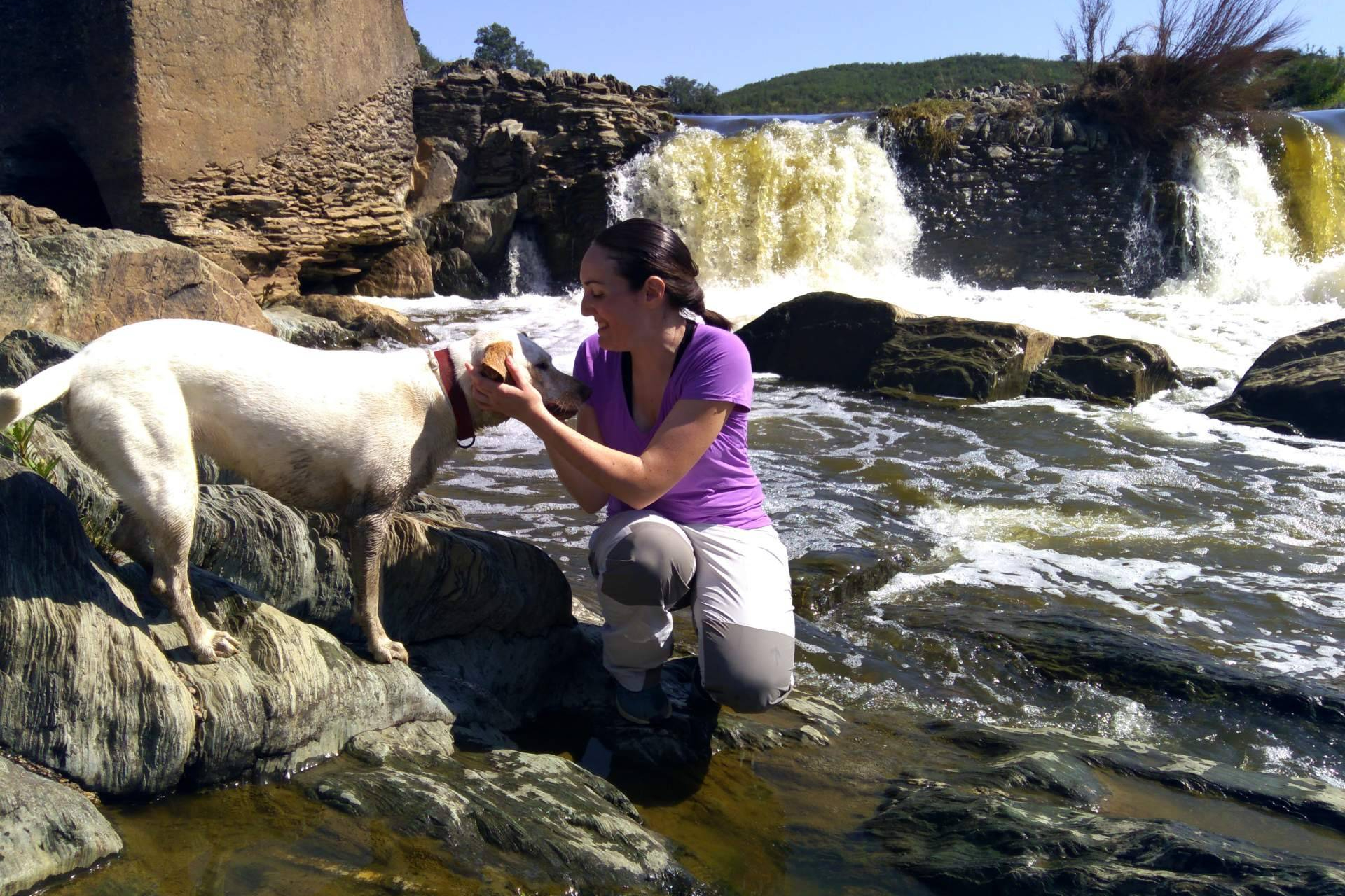 Viajar por Extremadura con mascota; rutas, naturaleza y espacios adaptados para perros