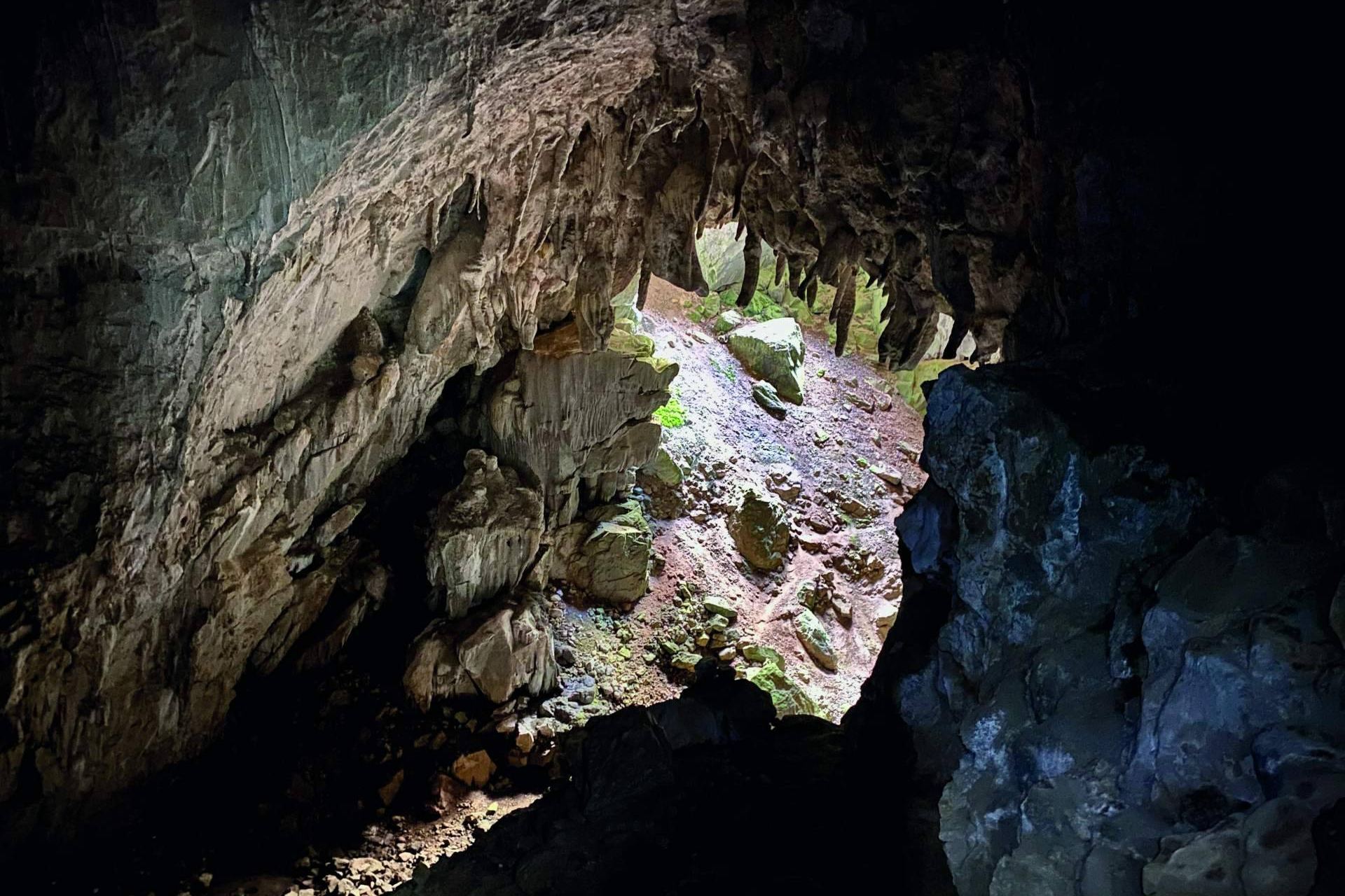 Naturaleza, historia y aventura en el corazón de Asturias
