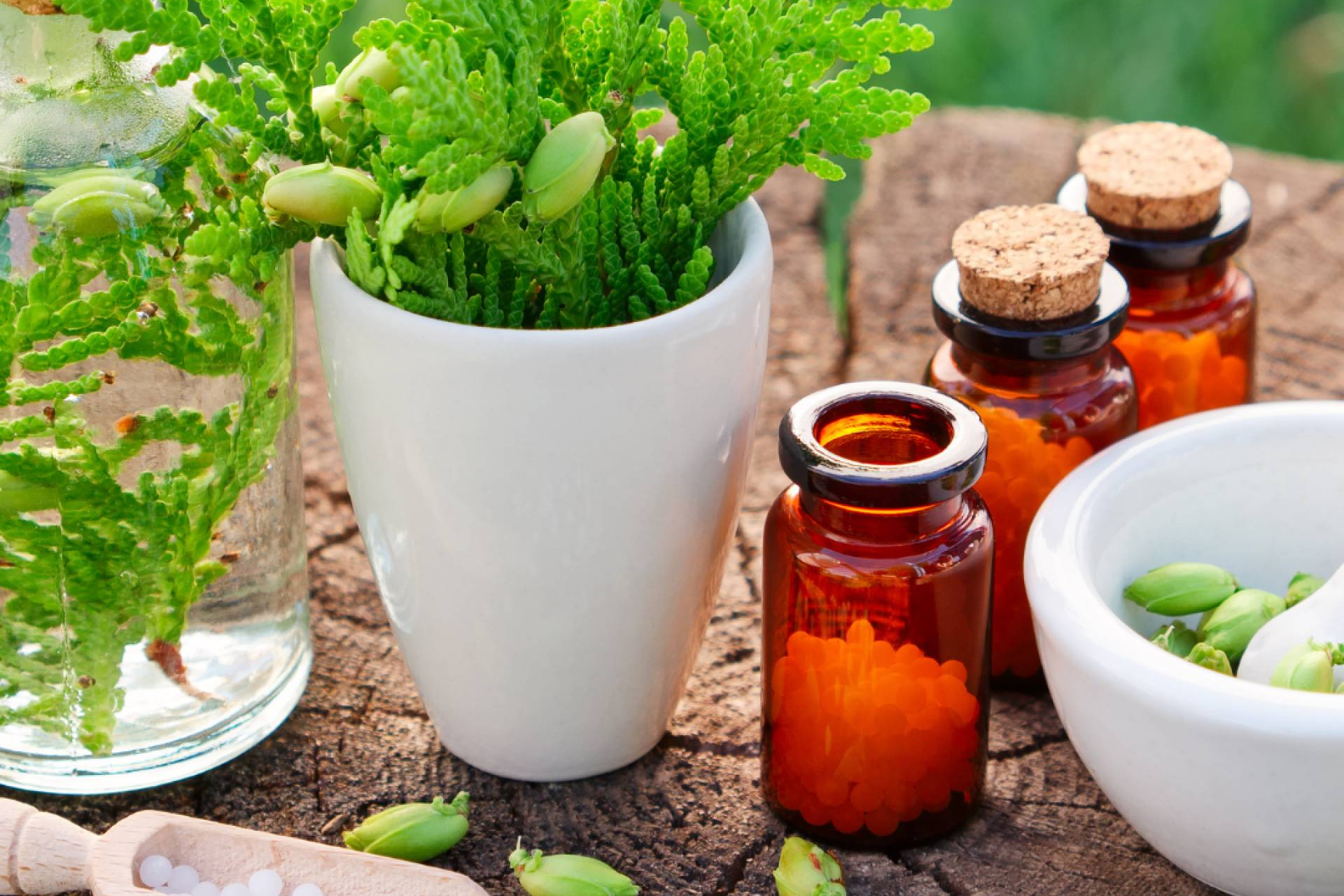 ISED impulsa el aprendizaje de Naturopatía; MTC, Aromaterapia y Flores de Bach con acceso flexible