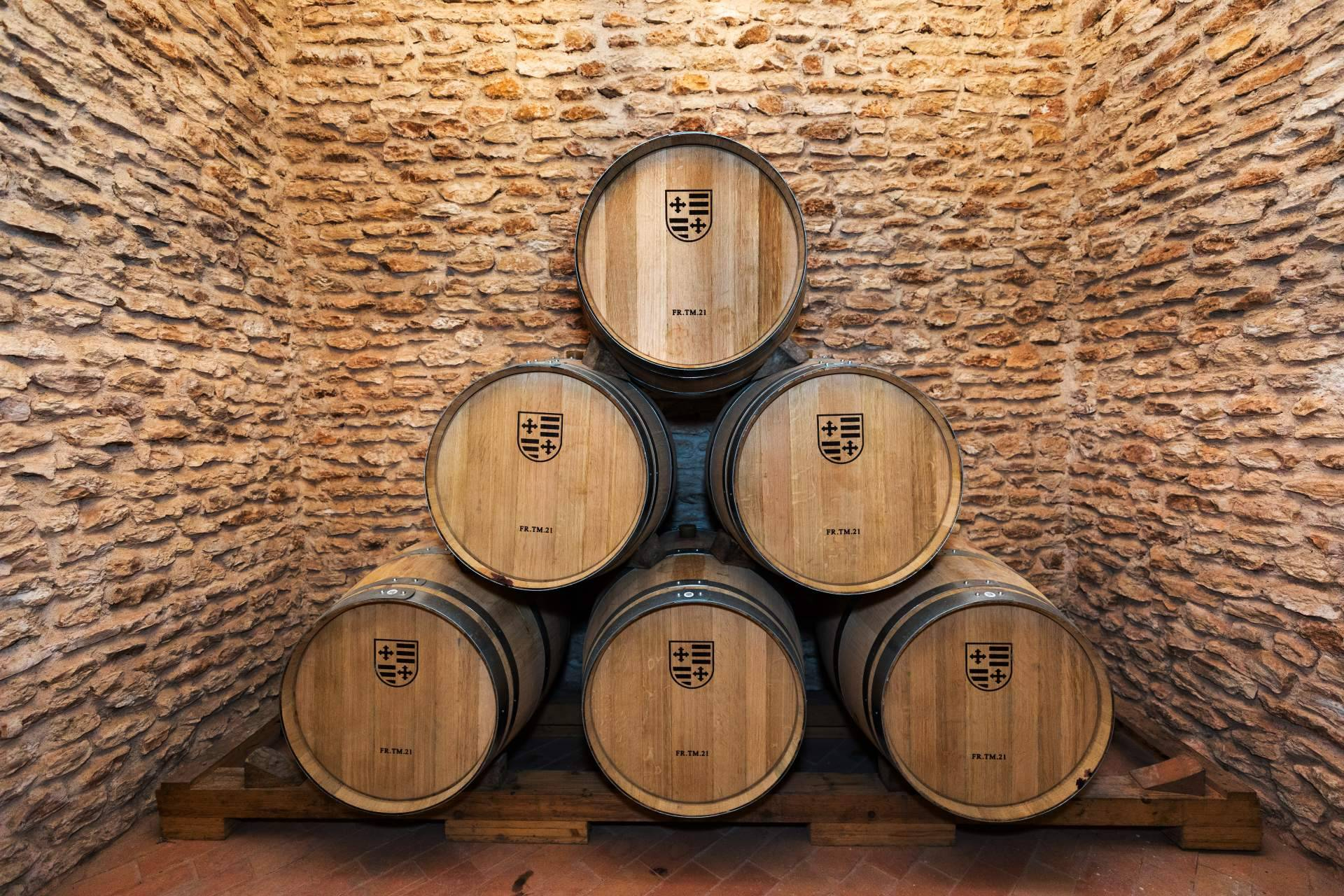 Bodegas Muñoz apuesta por la inteligencia artificial para digitalizar su ecosistema vitivinícola