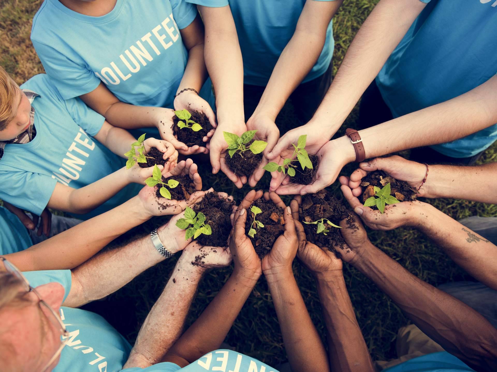 Hacerse voluntario en una ONG; las razones que llevan a muchas personas a elegir Human Appeal