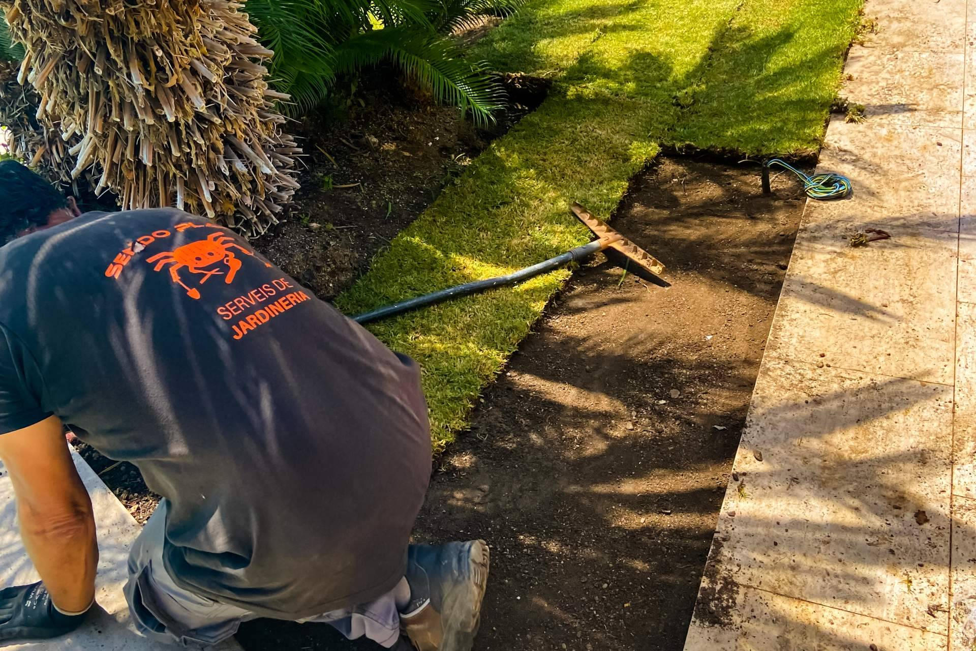 Jardinería profesional en Barcelona; la clave para espacios verdes que unen estética, eficiencia y sostenibilidad