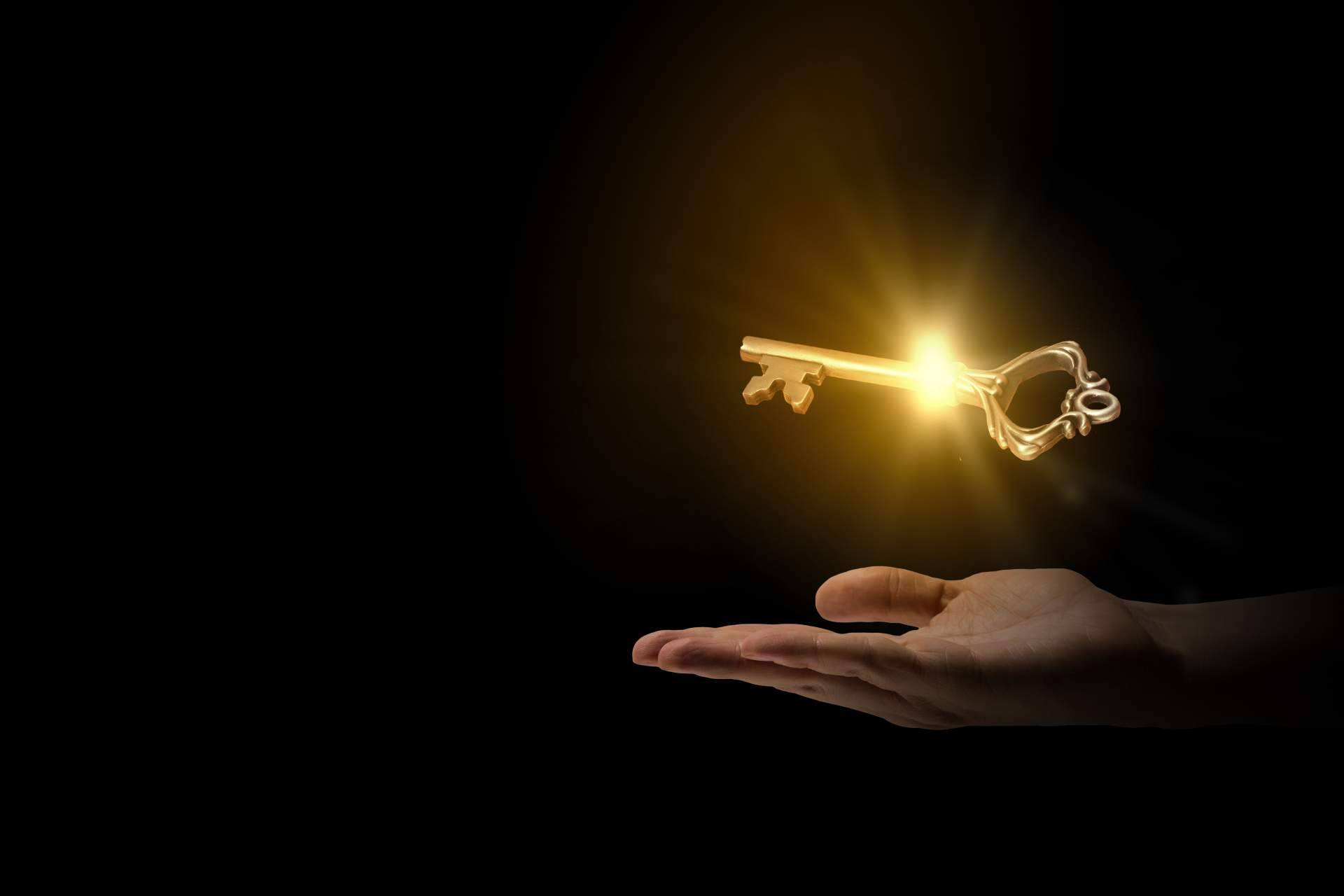 Gold Steps y el compromiso de cada paso; una conversación sobre consciencia y fragilidad