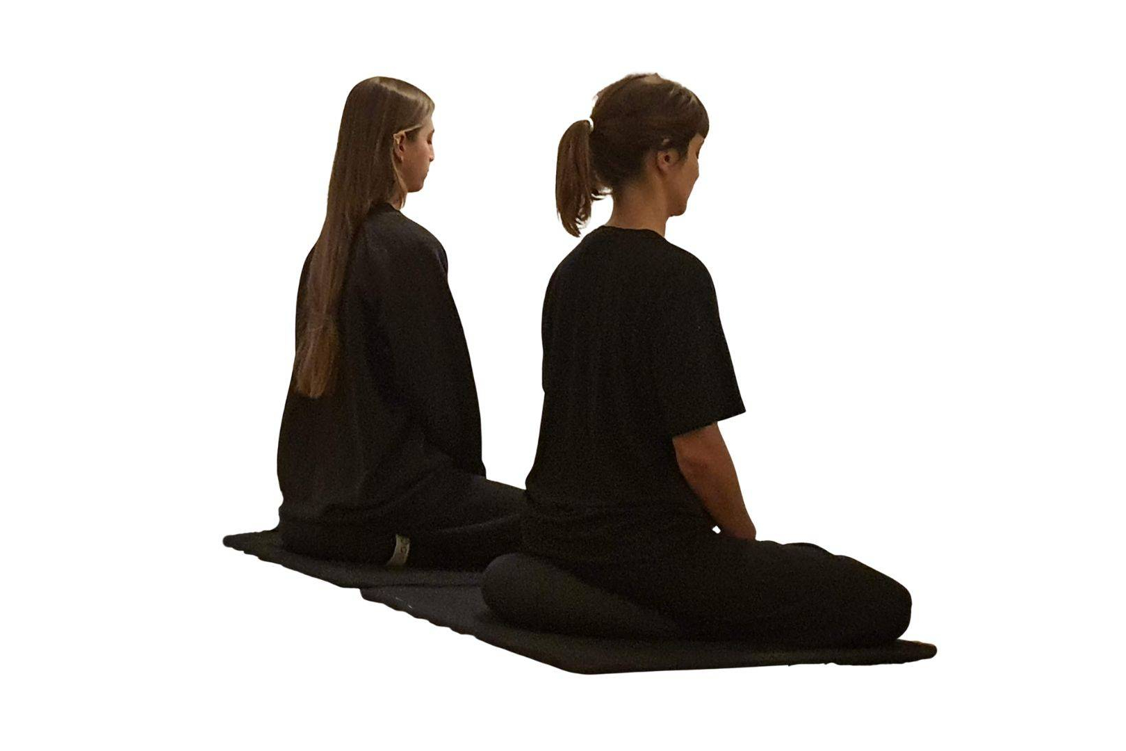 Meditación en Barcelona, sesiones presenciales y online con guía directa de un maestro zen