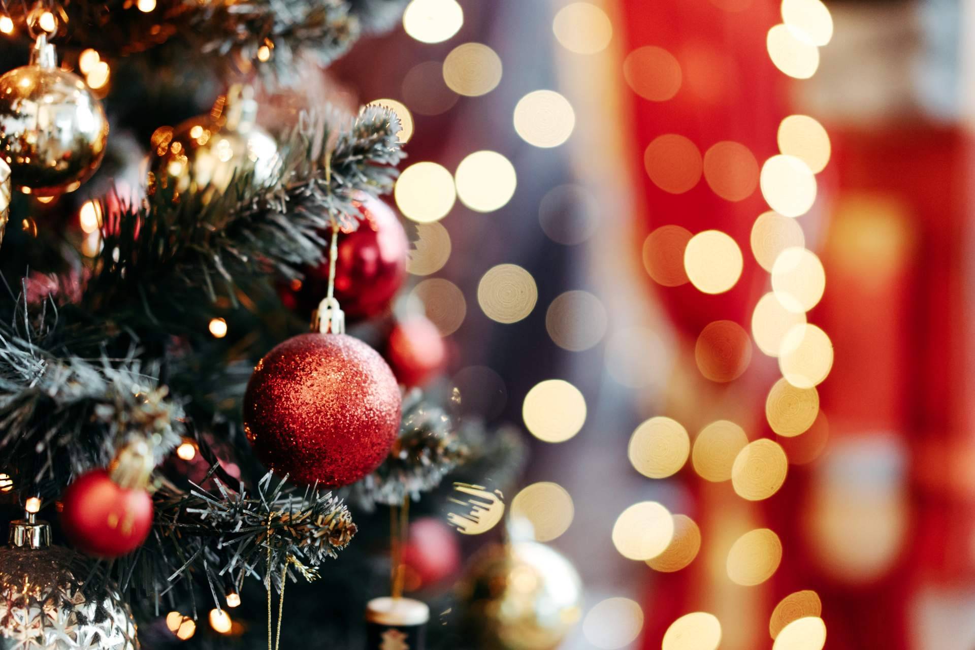 Elsegurodemibarco.com celebra la Navidad con un mensaje de gratitud y compromiso para el nuevo año