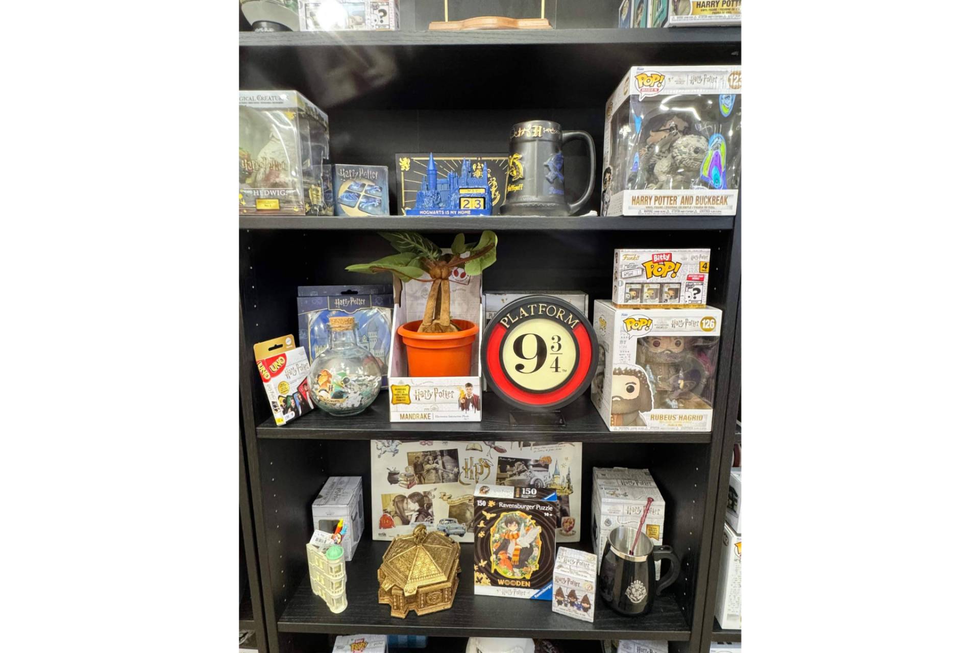 Passarella, la tienda friki de referencia para fans de Harry Potter y coleccionistas en Valencia