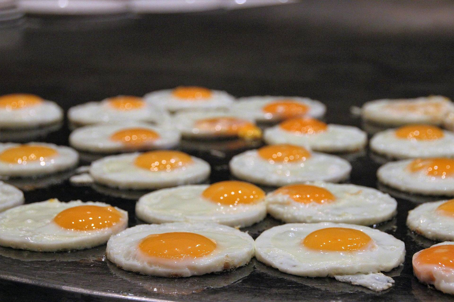 Aguas residuales en el sector HORECA, retos y soluciones para una sostenibilidad efectiva