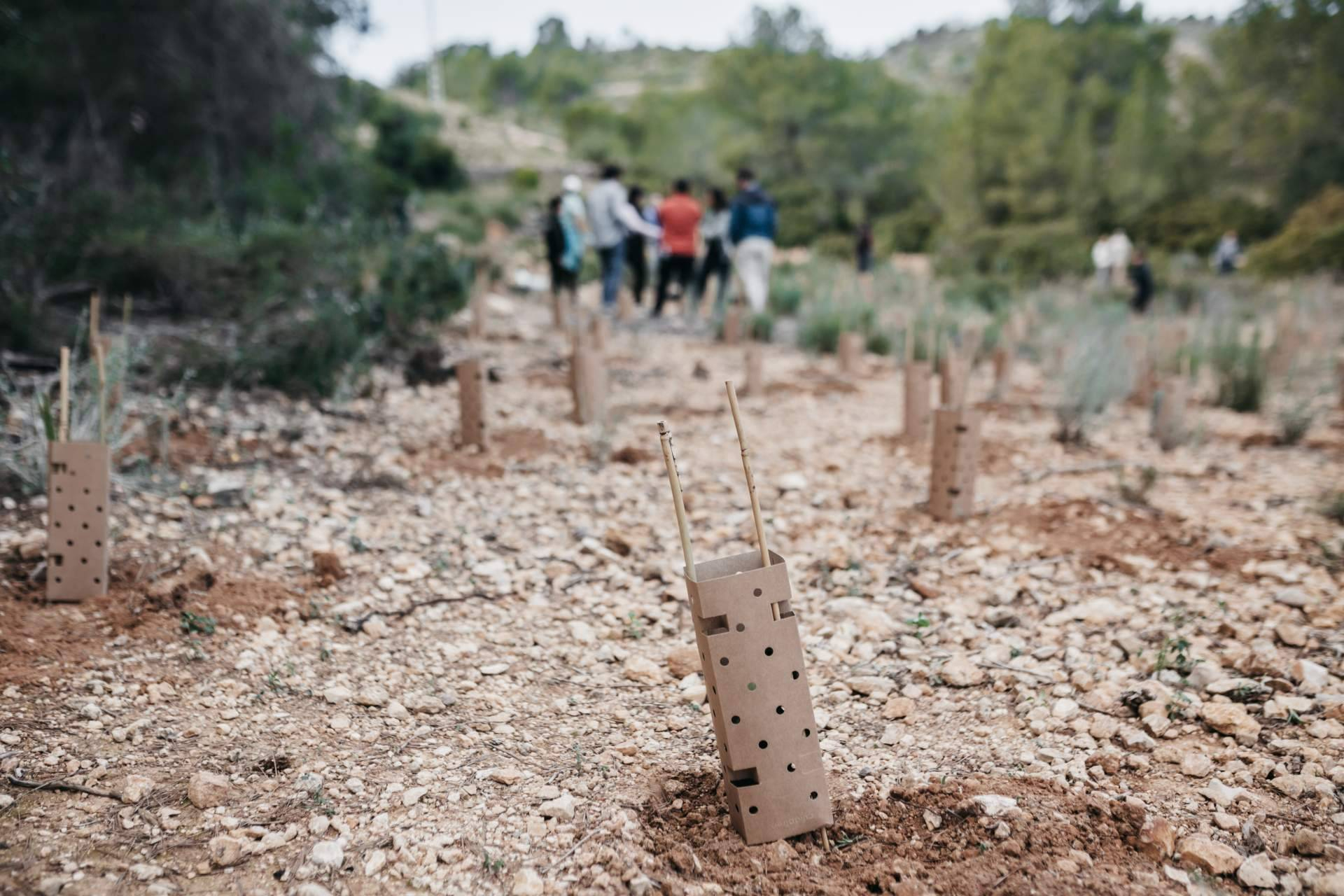 Bosquia impulsa nuevas reforestaciones en Madrid junto a empresas y ciudadanía por el Día de los Bosques