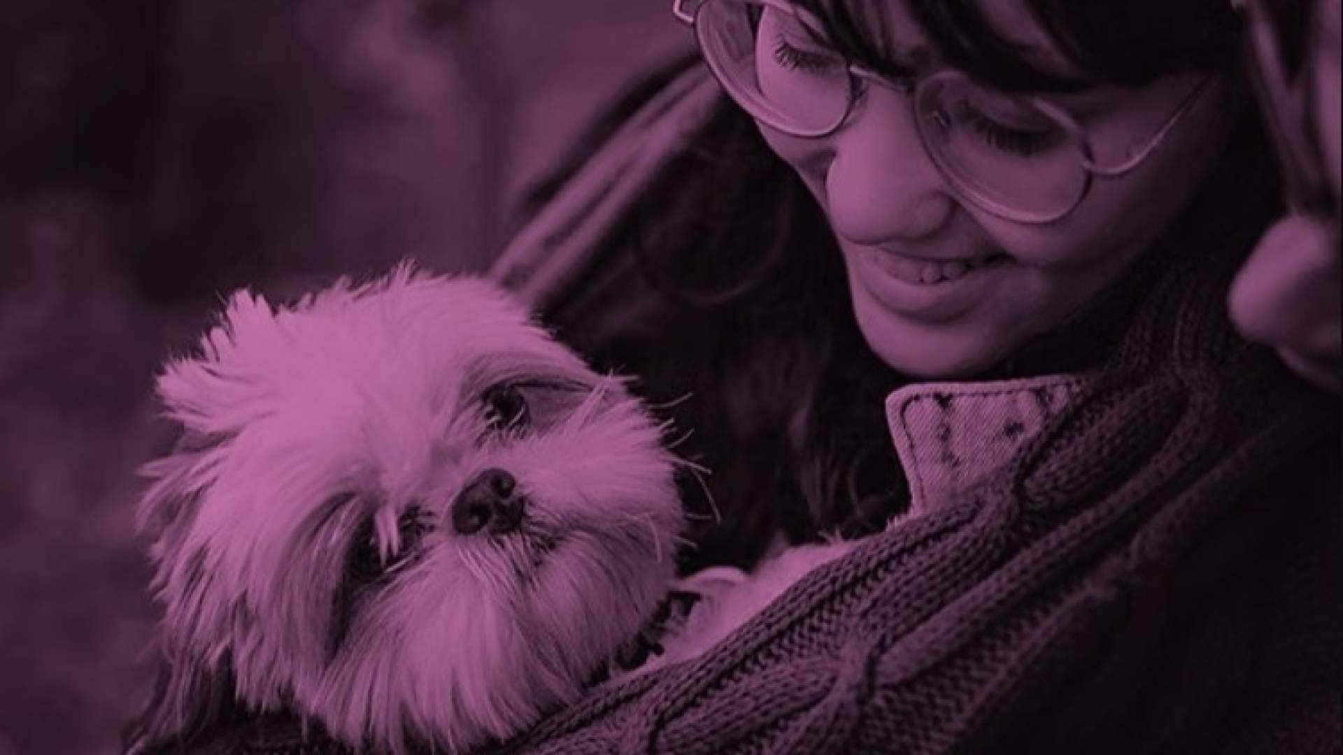 Datamars España desarrolla soluciones para la trazabilidad del ganado y la identificación de mascotas