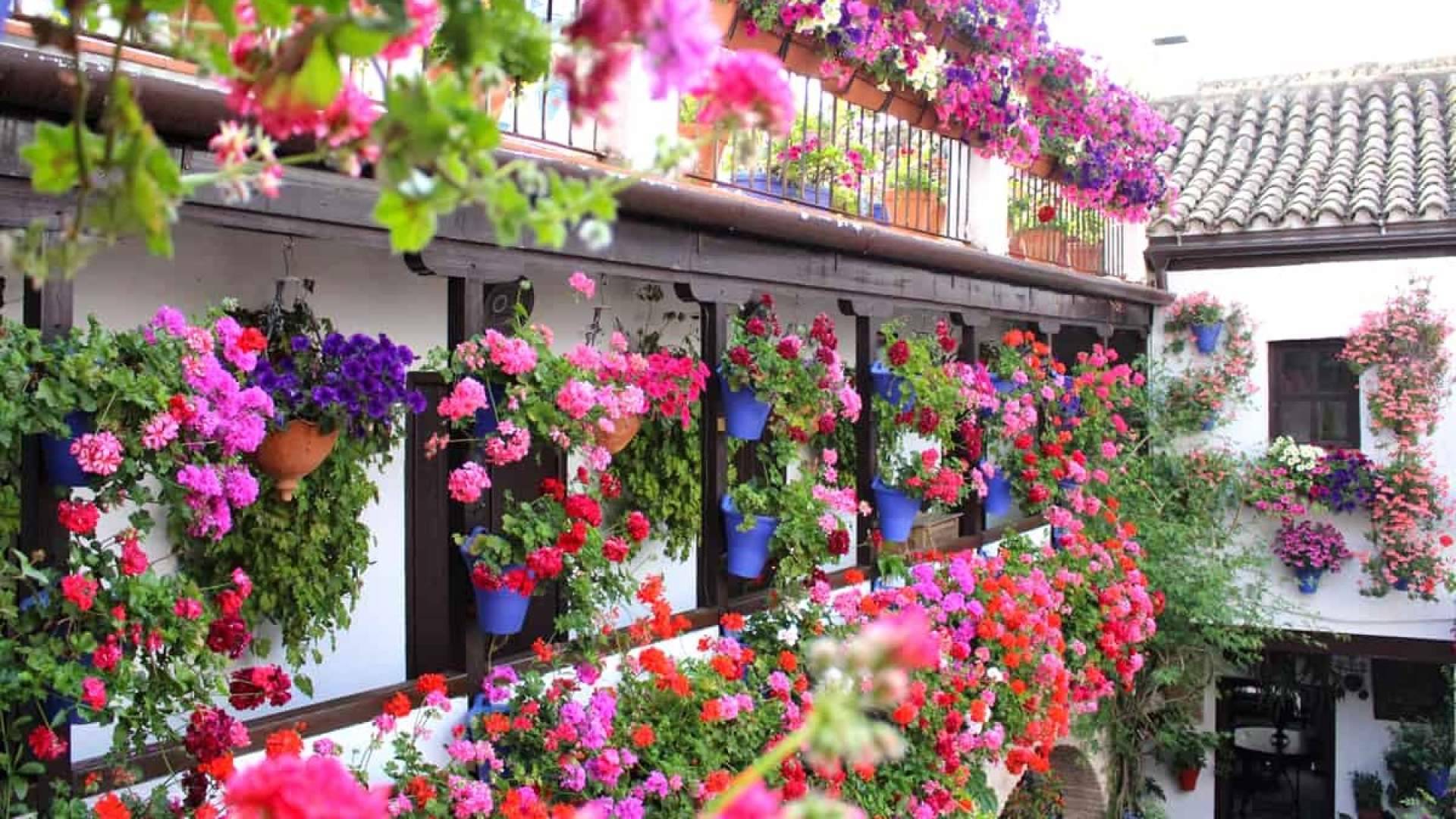 'Andalucía en flor', viajes y escapadas recomendadas para descubrir Andalucía en primavera