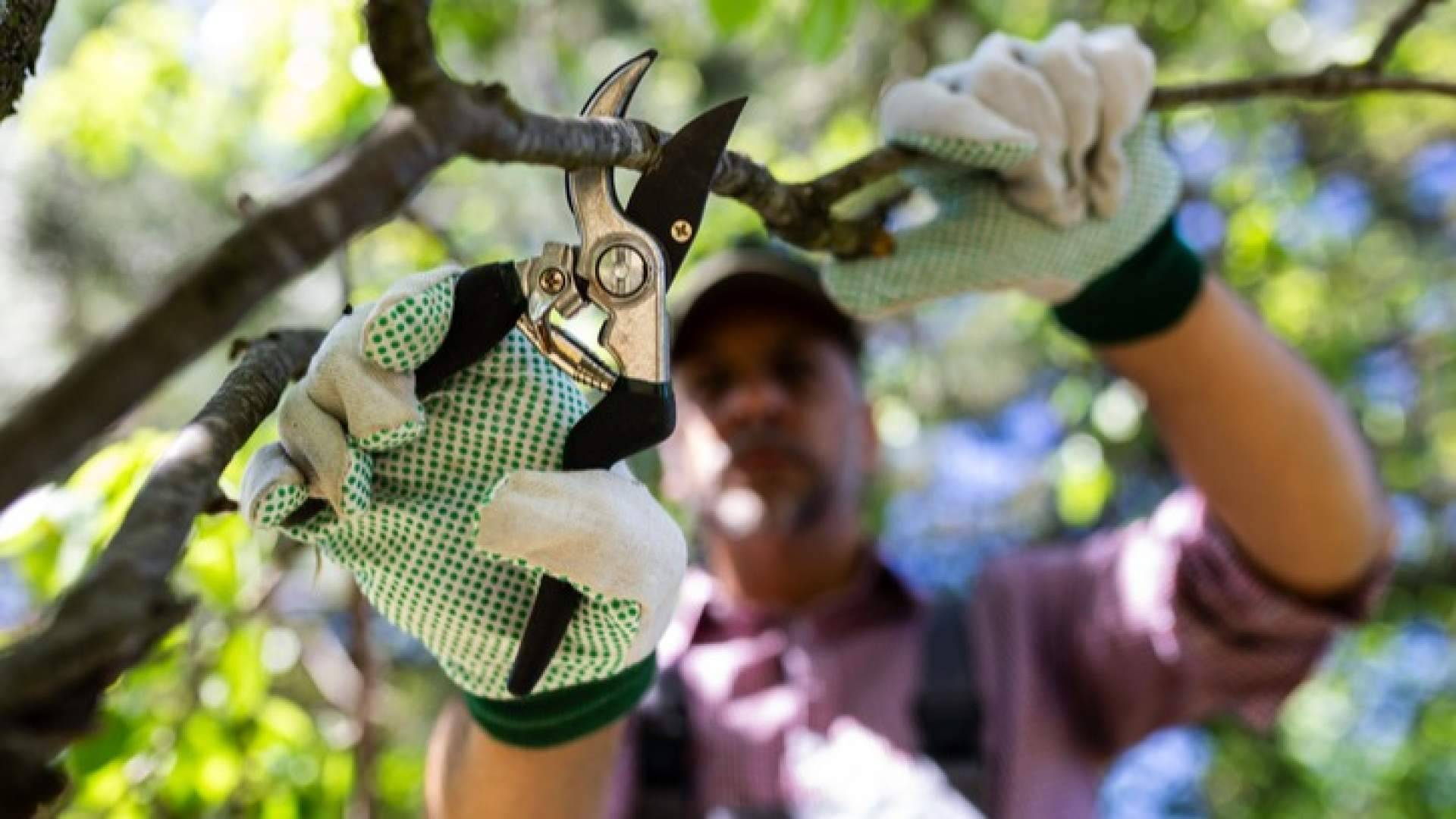 La importancia de las herramientas agrícolas en la productividad y sostenibilidad del campo