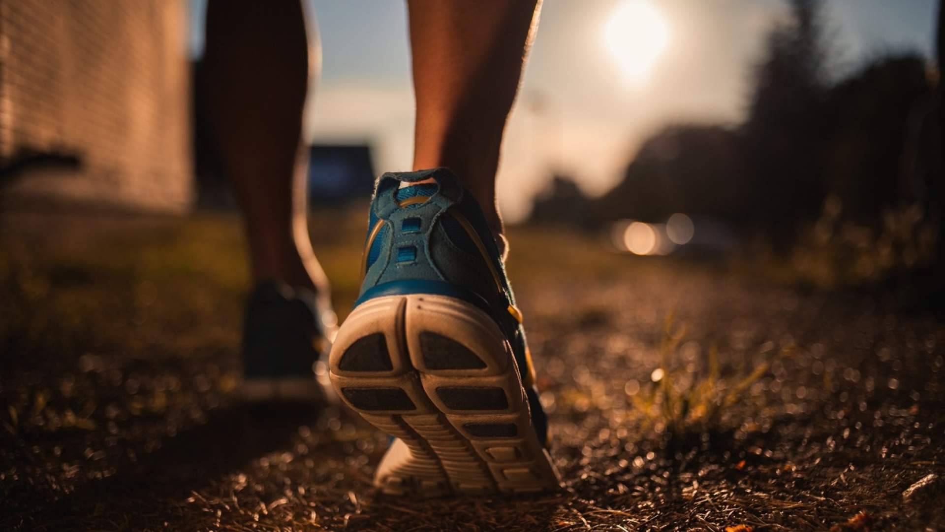 ¿Por qué no todos los zapatos deportivos sirven para lo mismo? Guía para entender sus usos