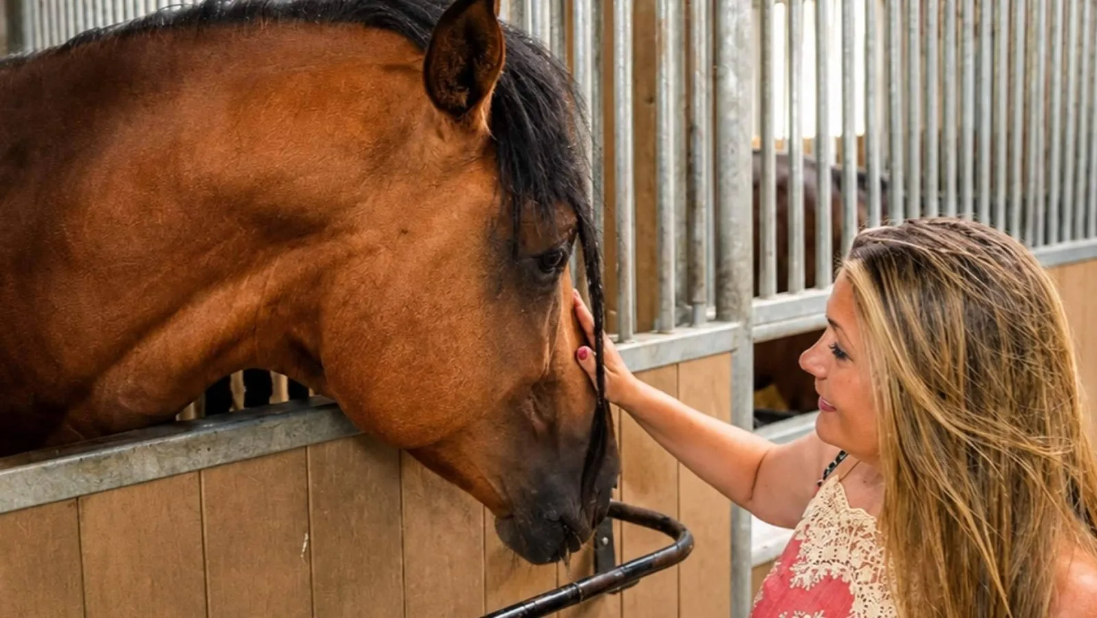 España convive con más de 15 millones de animales registrados y transforma también la forma de despedirse de ellos
