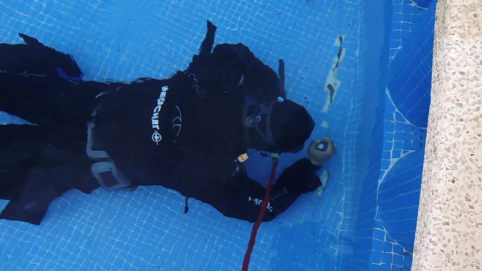 Tecnología avanzada y sin obras para la reparación de fugas de piscinas en Alicante con Telefuga