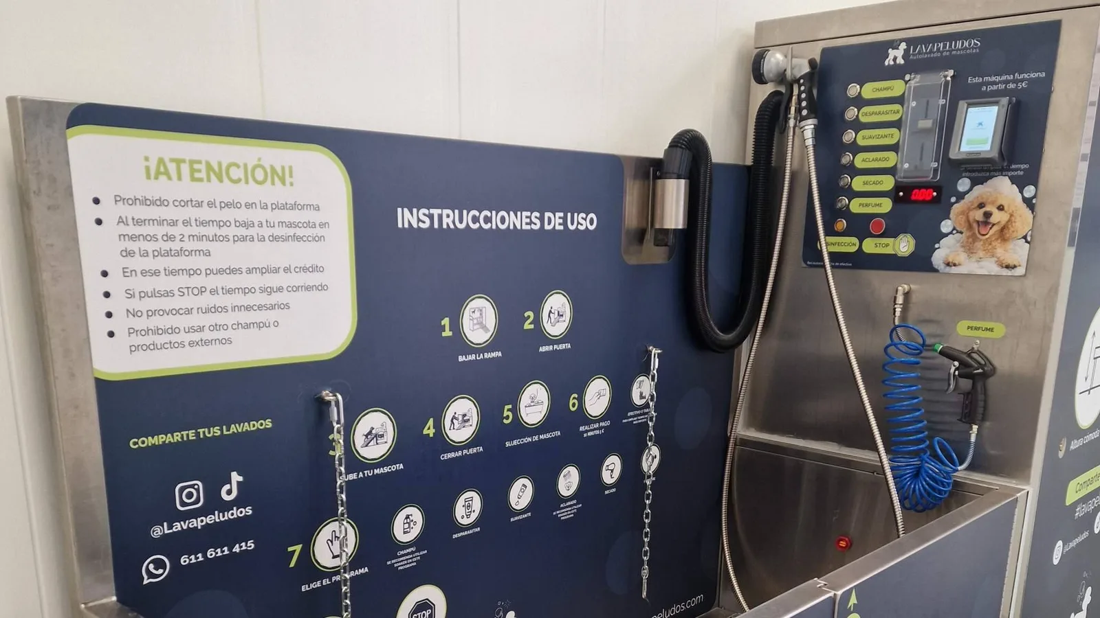 Lavapeludos revoluciona el cuidado de las mascotas con un servicio rápido, económico y sin cita previa
