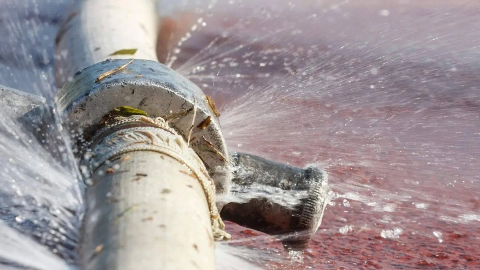 Humedad y fugas de agua; cómo el calor estival daña las tuberías
